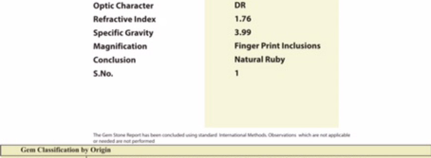 Gem  Testing Report